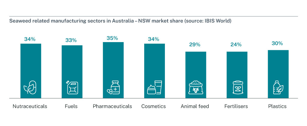 Seaweed related manufacturing sectors Australia infographic